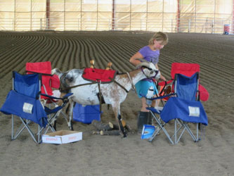 Packgoat on campsite etiquette obstacle