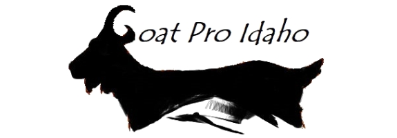 Goat Pro Idaho-1 Goat Pro Idaho-1