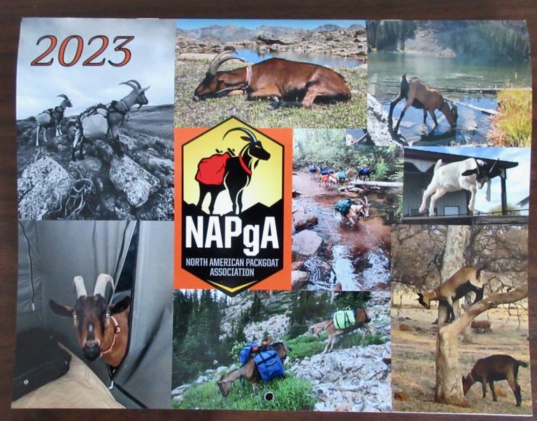 NAPgA Calendar 2023