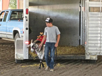 Packgoat on trailer loading obstacle