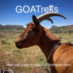 goatreksutah logo