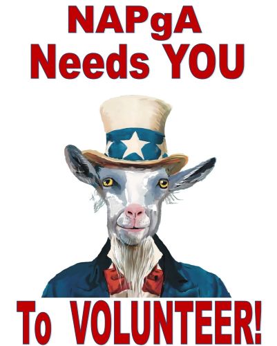 Uncle Sam Goat VOLUNTEER re