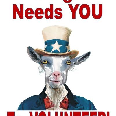 Uncle Sam Goat VOLUNTEER re